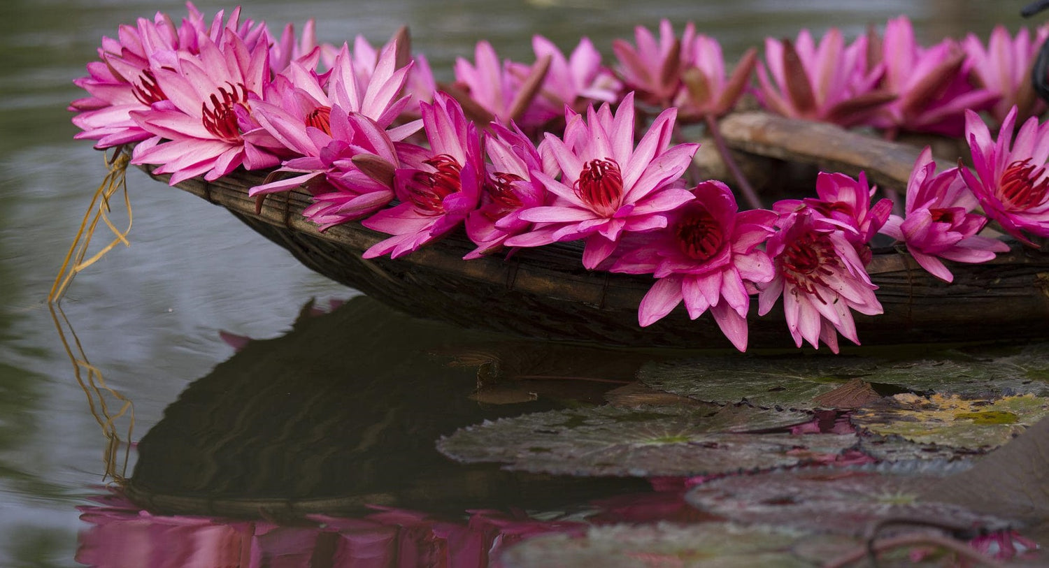 Terapia jogą – Joga – Złoty Most