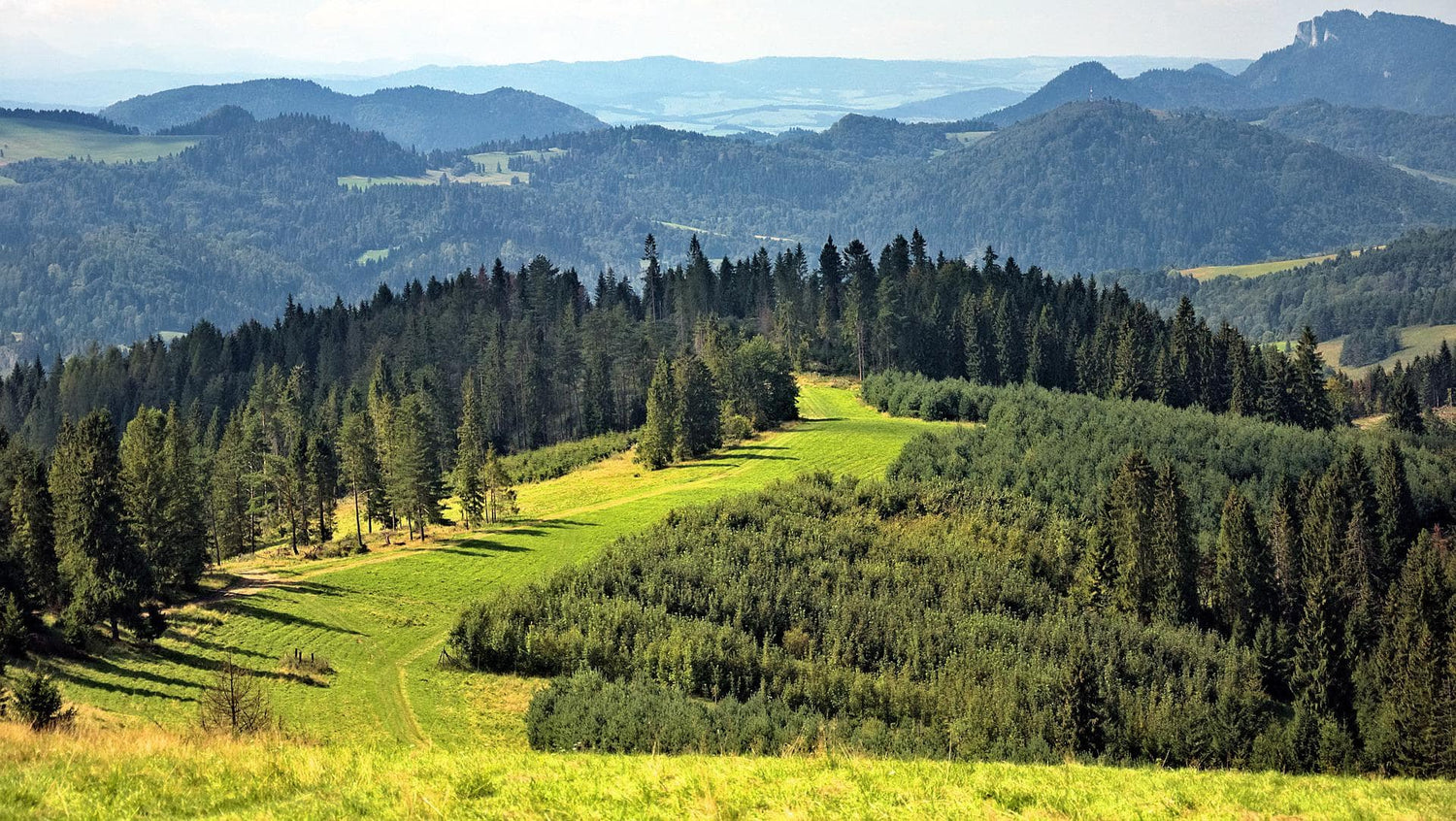 Złota Róża – Beskid Wyspowy – Wyjazdowe warsztaty rozwoju osobistego