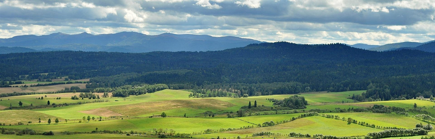 Złota Róża – Beskid Wyspowy – Wyjazdowe warsztaty rozwoju osobistego